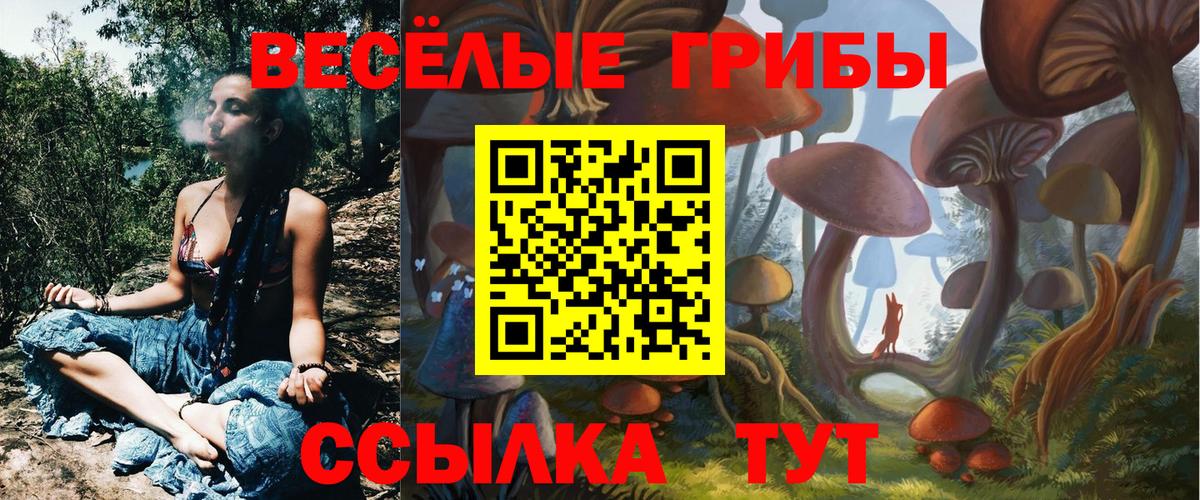 Галлюциногенные грибы Cubensis  Вход с VPN  Знаменск 